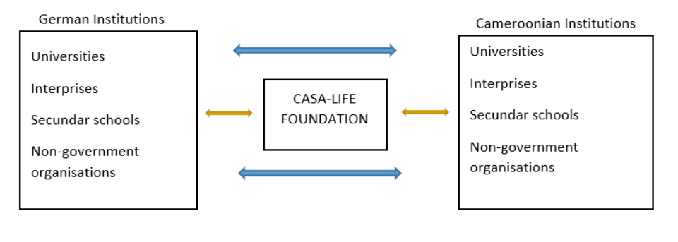 Academic exchange overview