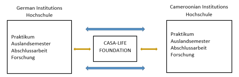 Academic exchange visual